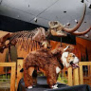 Meet your Posher, Adrienne